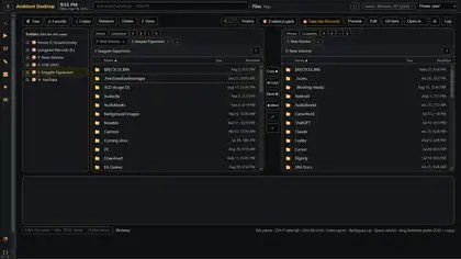 The Files view in Mindow, a dual-pane file manager